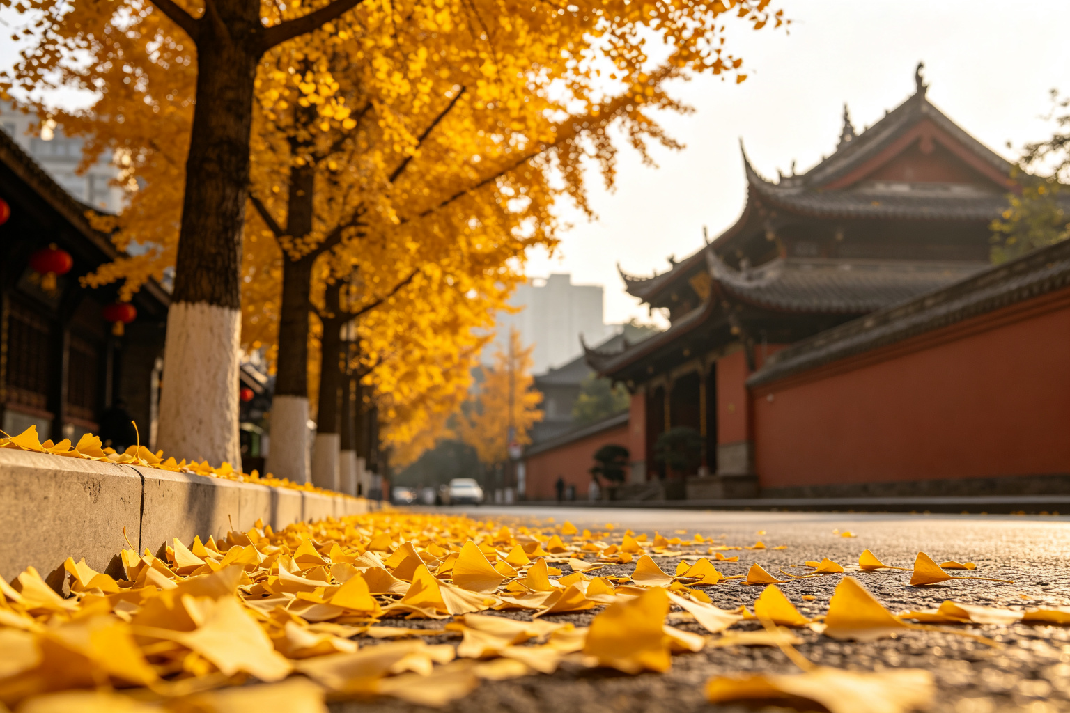 #3 The Best Time to Visit Chengdu