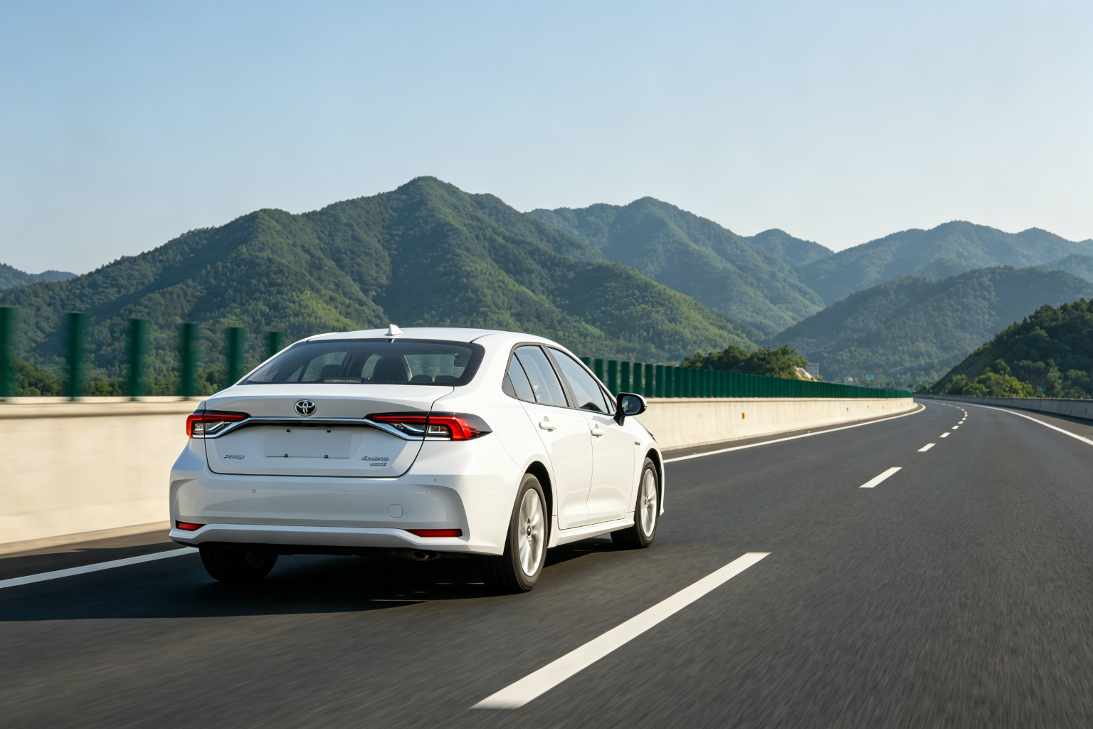 #8 Car Rental and Self-Driving